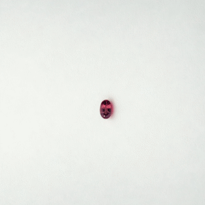 Spinal Oval Size 5x3 Pcs 1 Crt 0.21 No:803